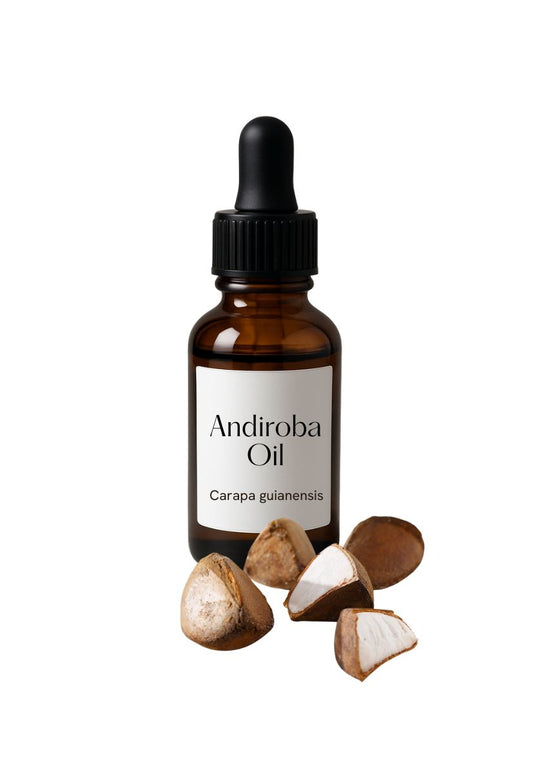 Andiroba Oil 1 KG